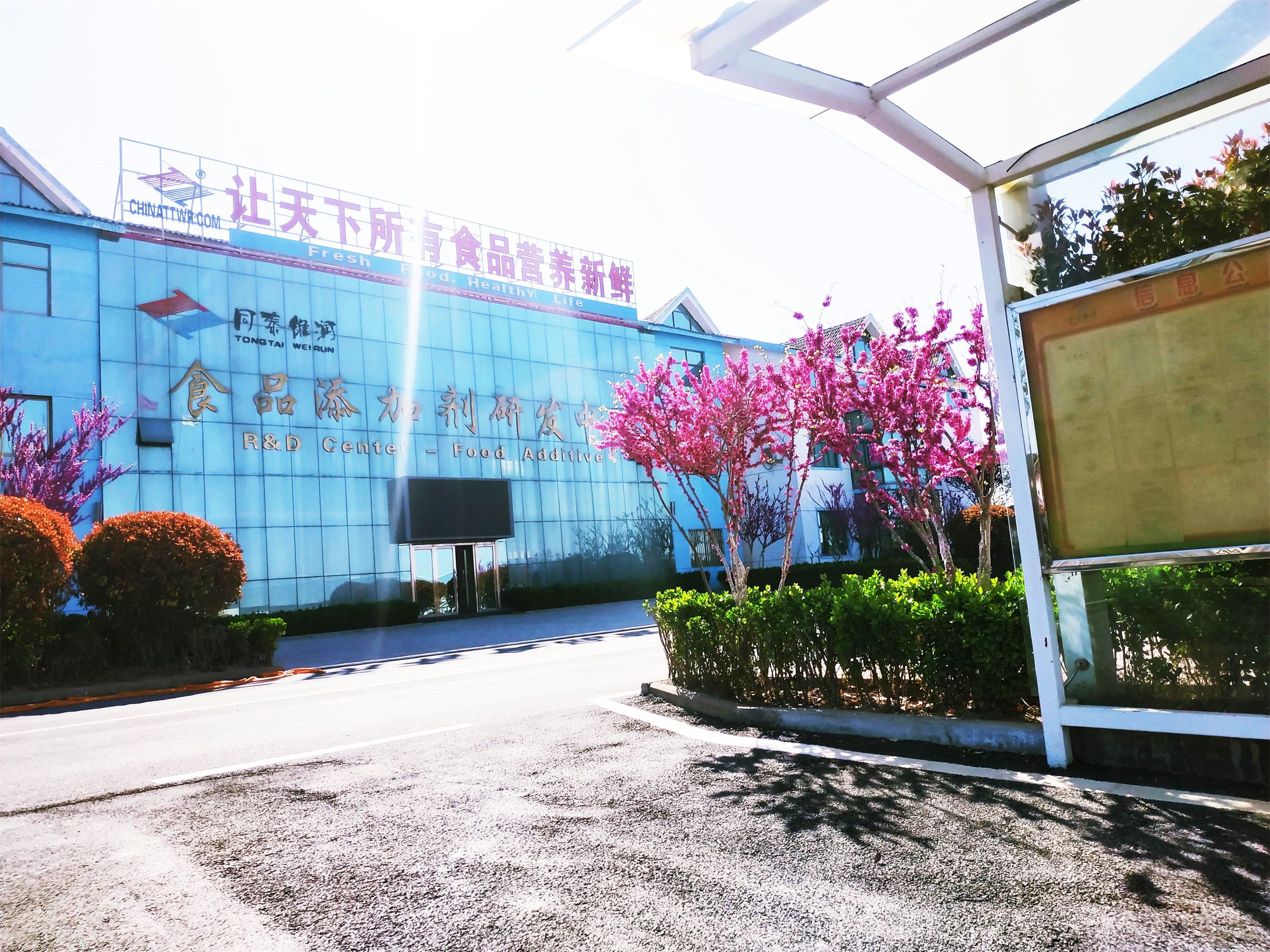 1608856569847237.jpg 1608856569847237.jpg